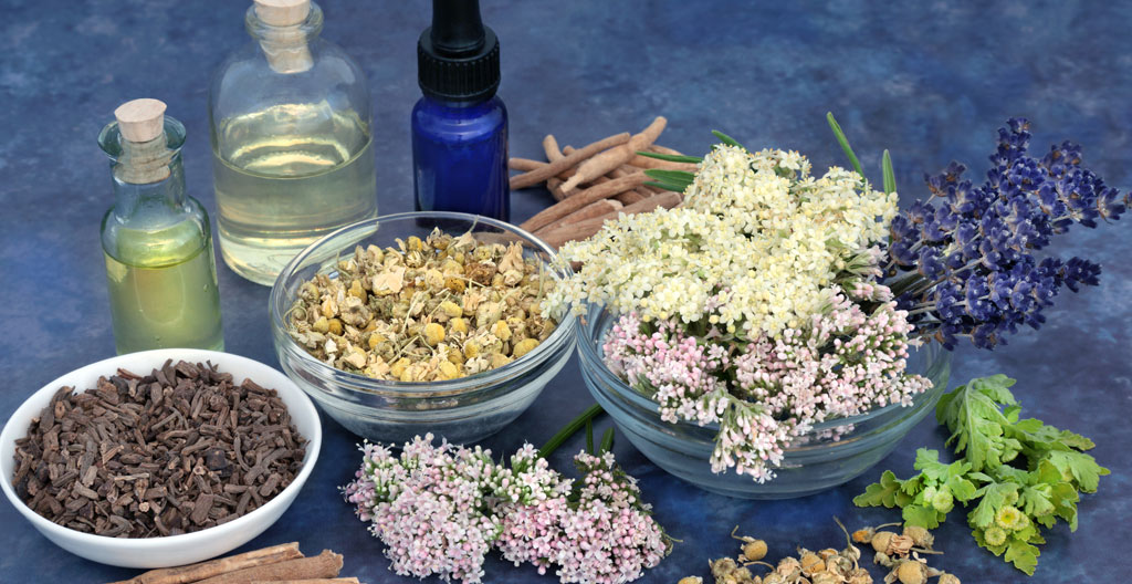 Bocaux en verre contenant des plantes médicinales séchées alignés sur une étagère de pharmacie